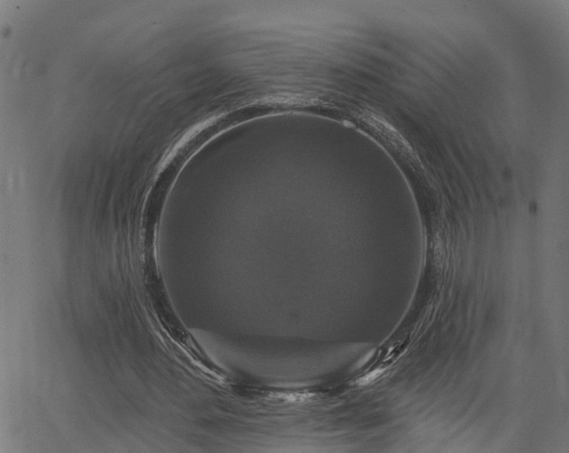 X0000066010484200603061301