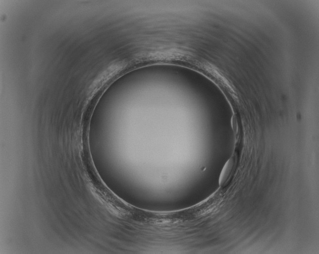 X0000066010486200603061301