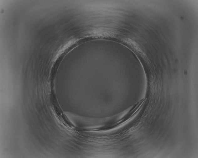 X0000066010488200603061301