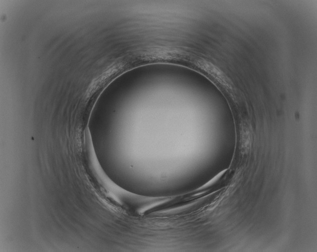 X0000066010489200603061301