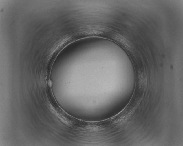 X0000066010490200603061301