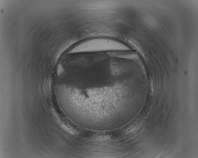 X0000066010491200603061301