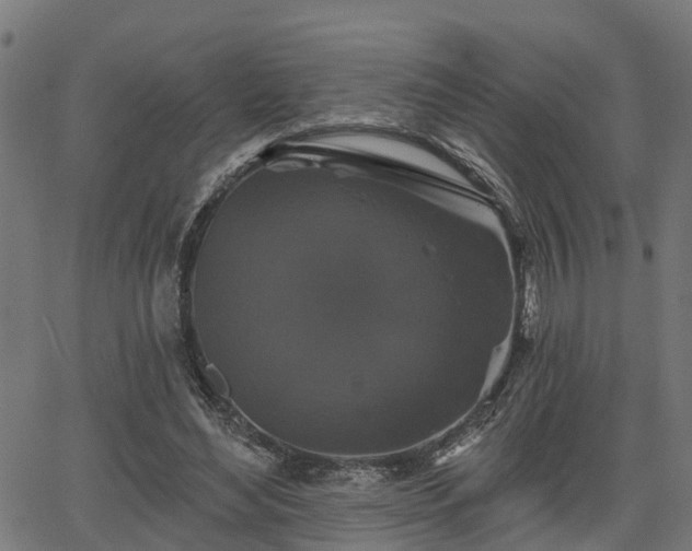 X0000066010492200603061301