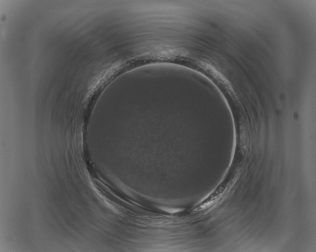 X0000066010493200603061301