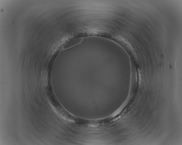 X0000066010496200603061301