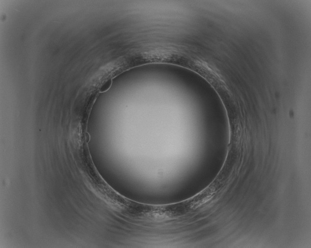 X0000066010498200603061301