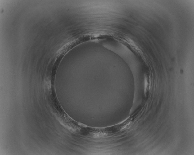 X0000066010500200603061301