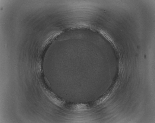 X0000066010501200603061301