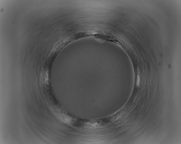 X0000066010502200603061301