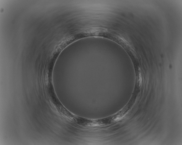 X0000066010504200603061301