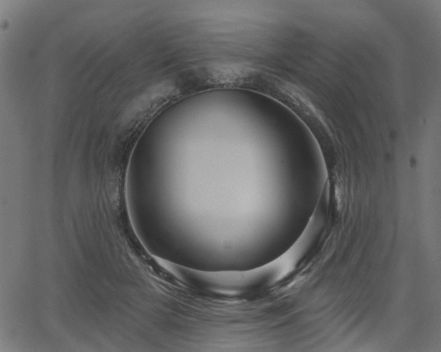 X0000066010505200603061301