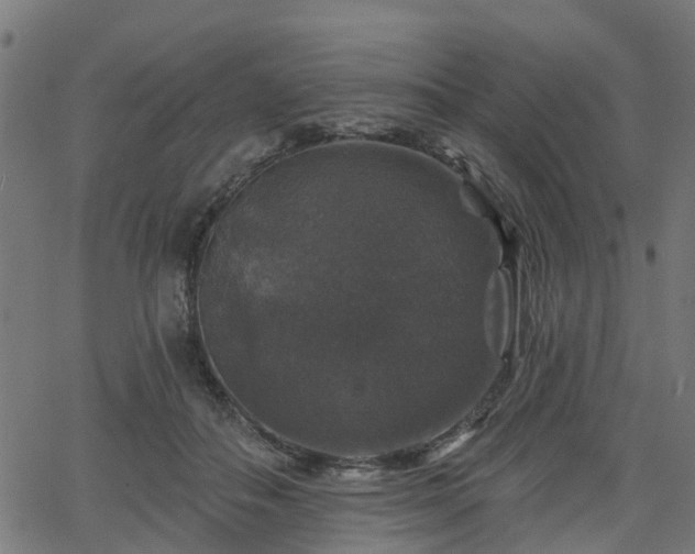 X0000066010506200603061301