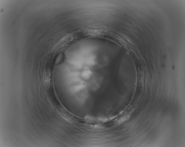 X0000066010507200603061301