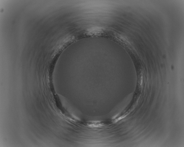 X0000066010508200603061301