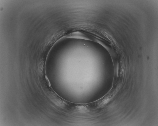 X0000066010509200603061301