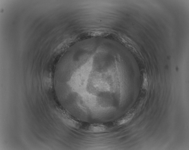 X0000066010510200603061301