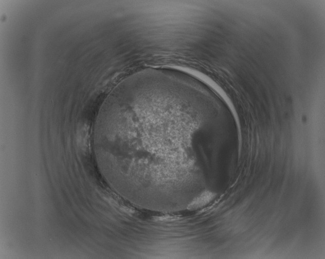 X0000066010511200603061301