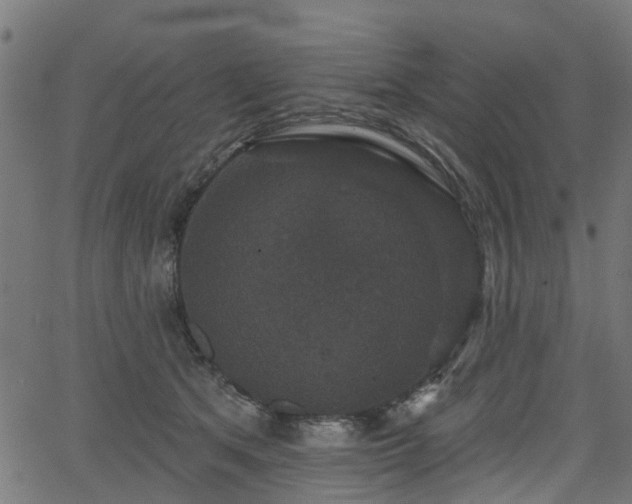 X0000066010513200603061301