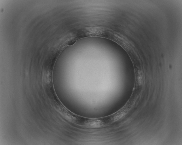 X0000066010514200603061301