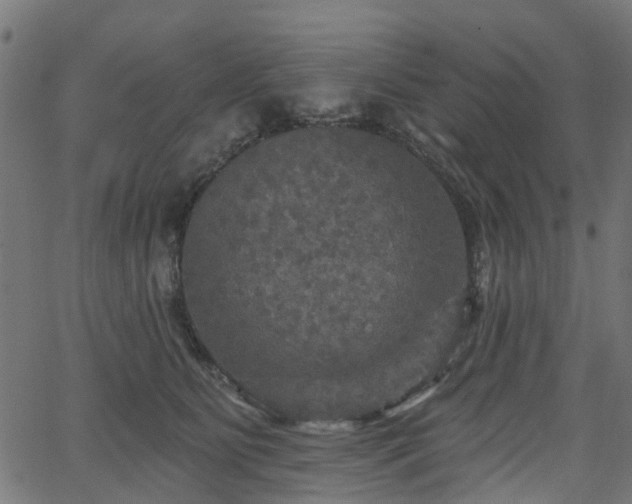 X0000066010515200603061301