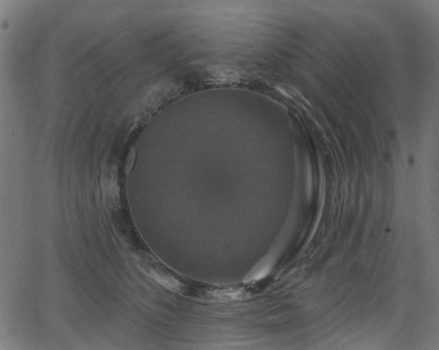 X0000066010516200603061301