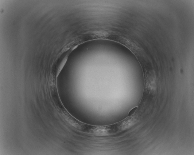 X0000066010518200603061301