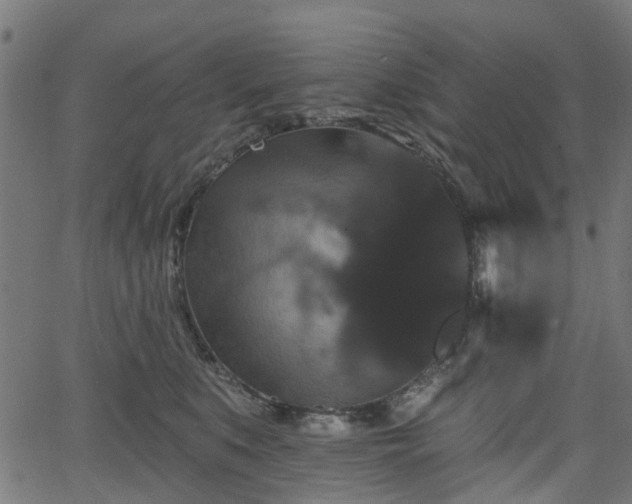 X0000066010519200603061301