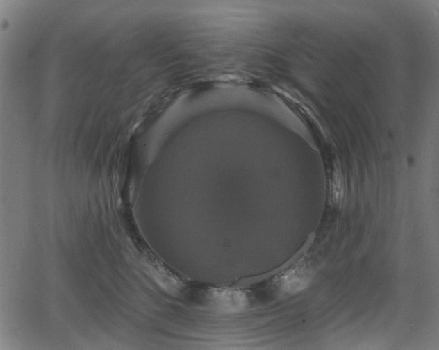 X0000066010520200603061300