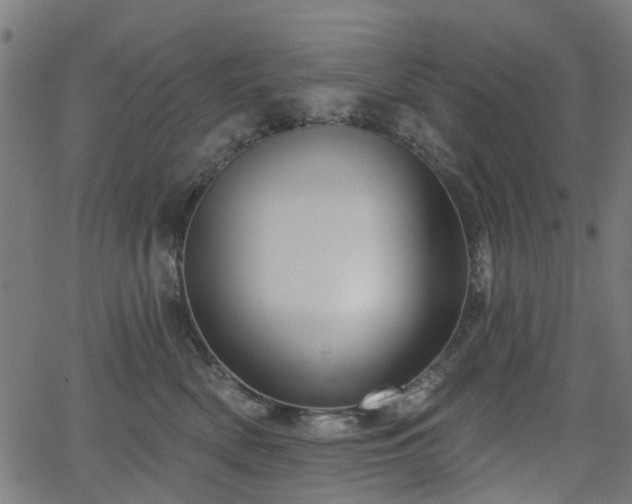 X0000066010522200603061300