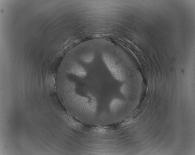 X0000066010523200603061300