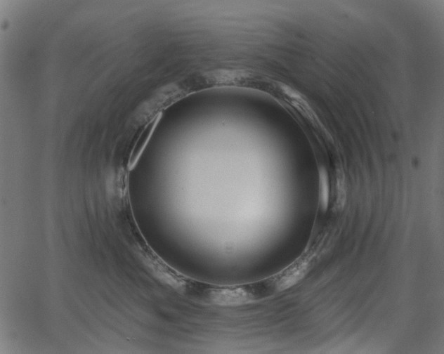 X0000066010525200603061300