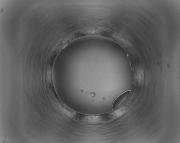 X0000066010526200603061300