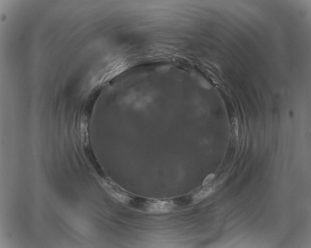 X0000066010527200603061300