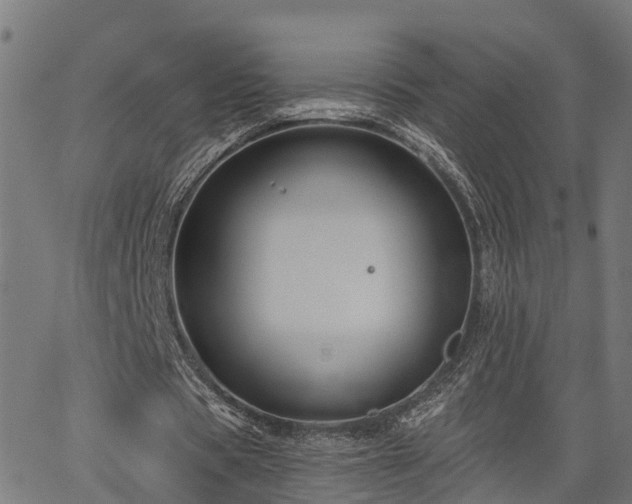 X0000066010529200603061300