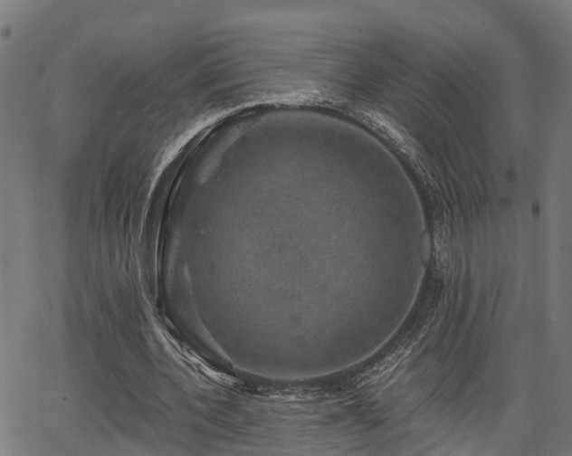 X0000066010532200603061300