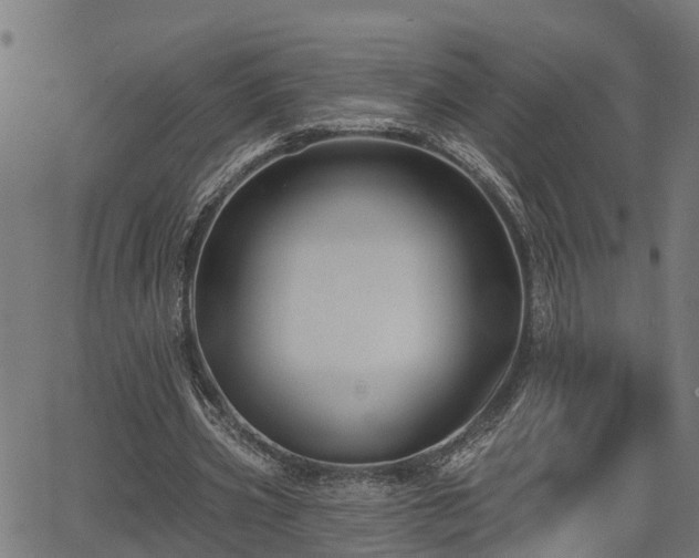 X0000066010533200603061300