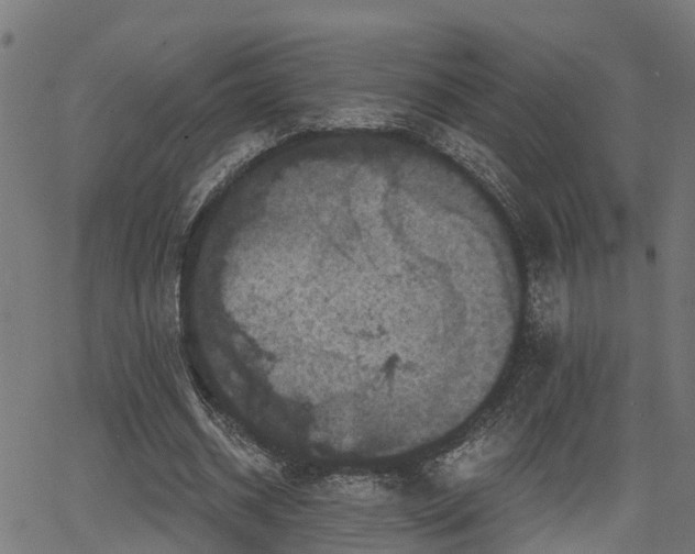 X0000066010534200603061300