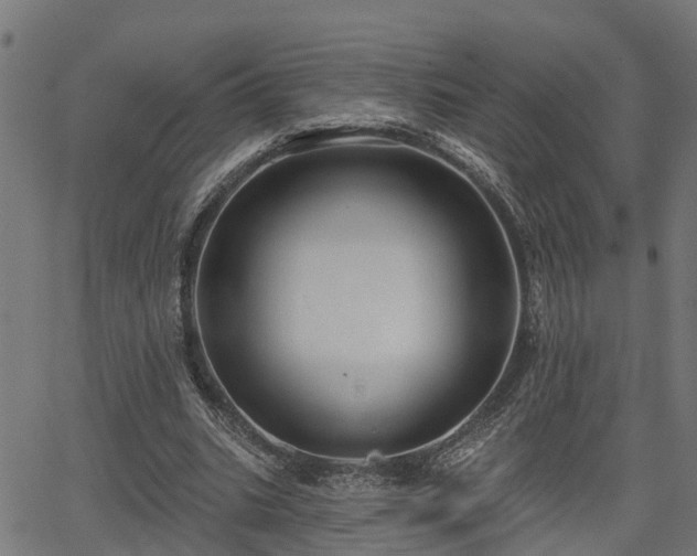 X0000066010535200603061300