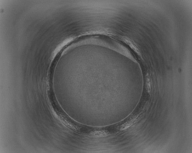 X0000066010536200603061300