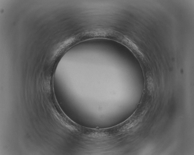 X0000066010537200603061300