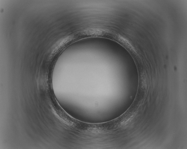 X0000066010538200603061300