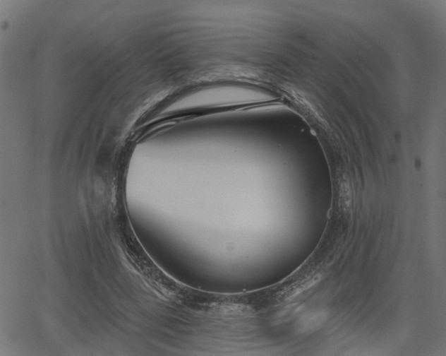 X0000066010539200603061300