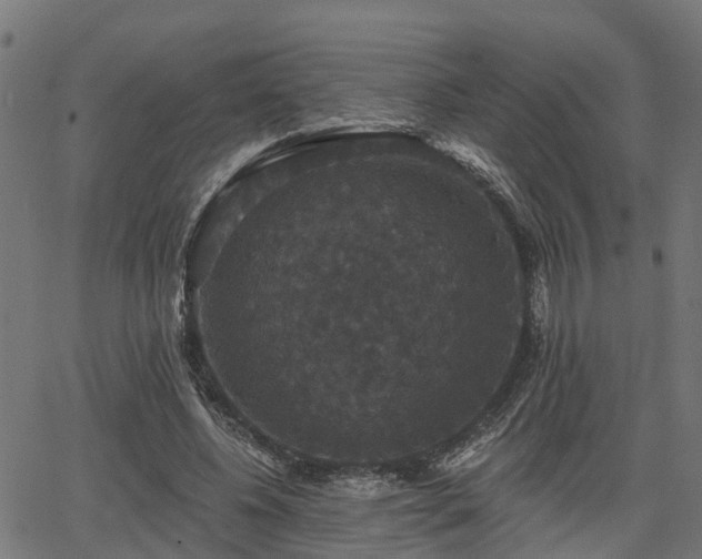 X0000066010540200603061300