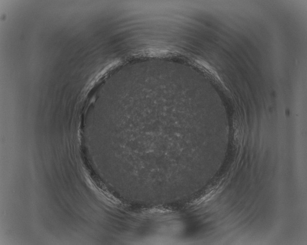 X0000066010542200603061300