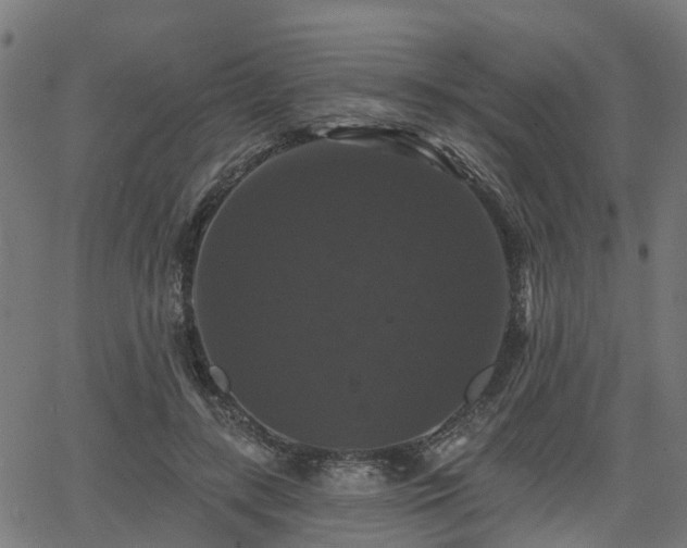 X0000066010547200603061300