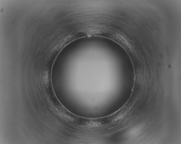 X0000066010549200603061300