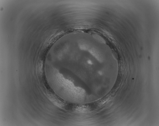 X0000066010550200603061300