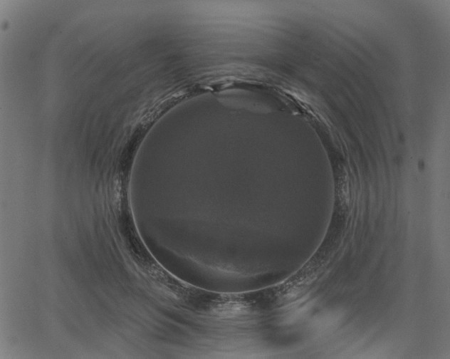 X0000066010551200603061300