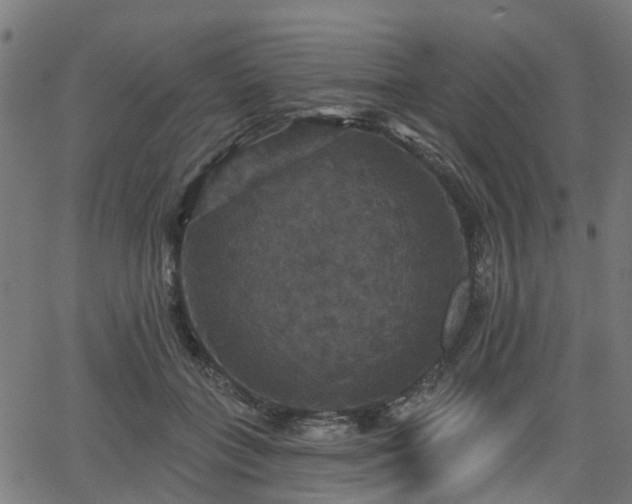 X0000066010555200603061300