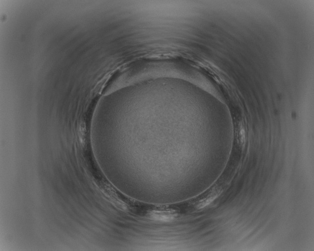 X0000066010556200603061300